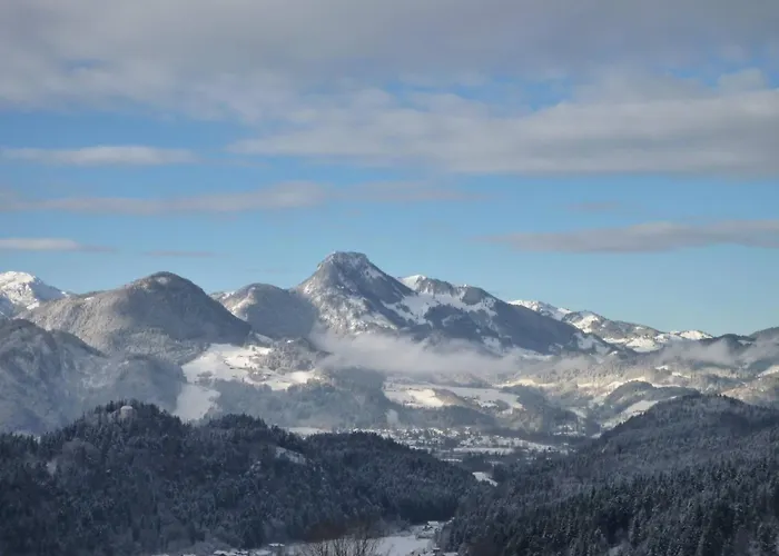 Apartment Bergschloessl In By Interhome Oberaudorf