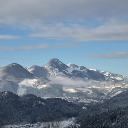 Apartament Bergschloessl In By Interhome Oberaudorf